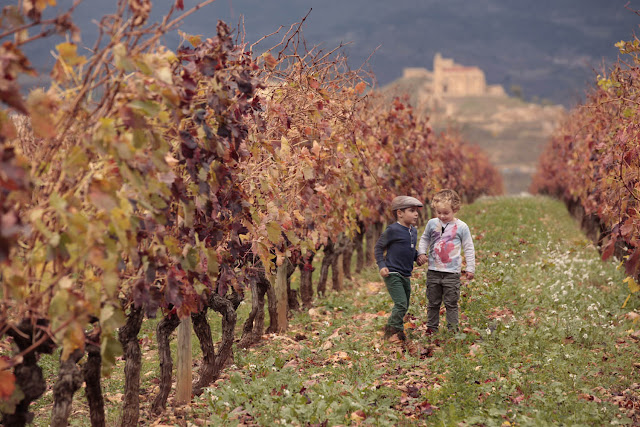 Museo Vivanco Cultura Vino