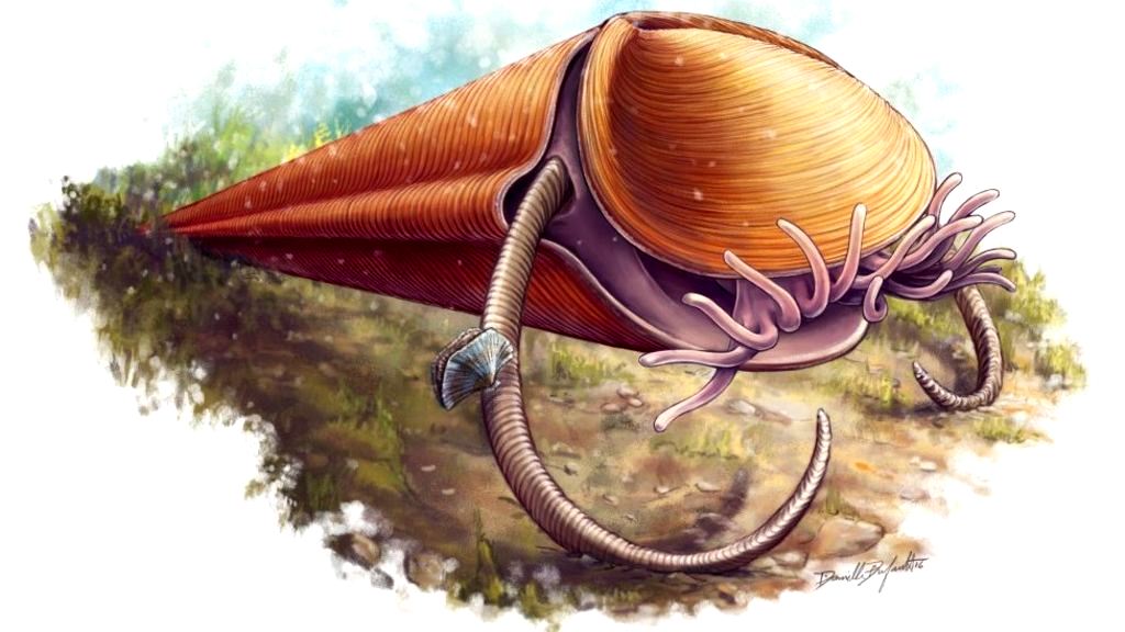 Mysterious Fossils Find Place on the Tree of Life Geology In