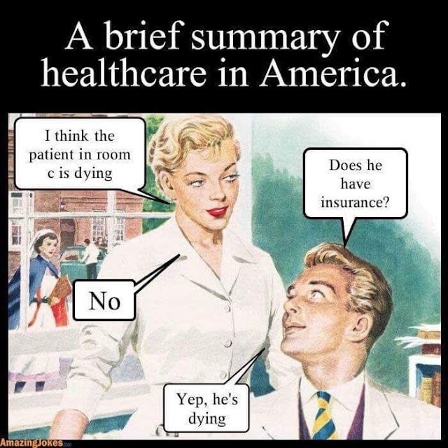 Skip's House of Chaos American Healthcare, in a nutshell