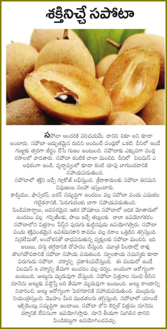 TELUGU WEB WORLD SAPOTA FRUIT HEALTH TIPS IN TELUGU