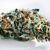 The Next Big Thing in the Marijuana Industry