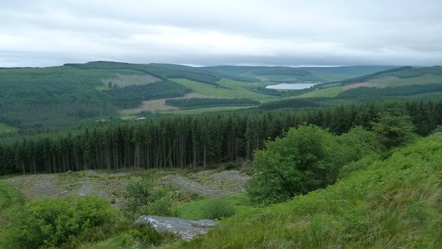 Byrness Hill, The Pennine Way