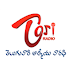 Tori Telugu Radio Live Online
