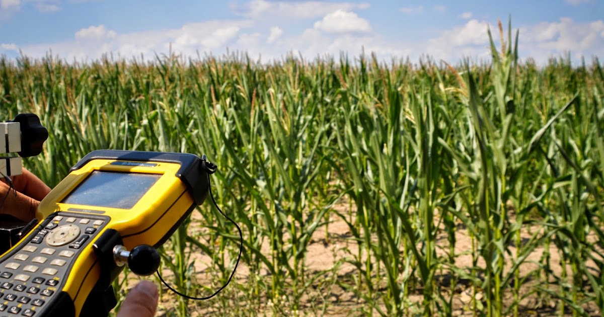 Przyśpieszeniu I Usprawnieniu Produkcji Rolnej Sprzyjało Upowszechnienie Geodezja Łódź: WYŁĄCZENIE DZIAŁKI Z PRODUKCJI ROLNEJ W ŁODZI