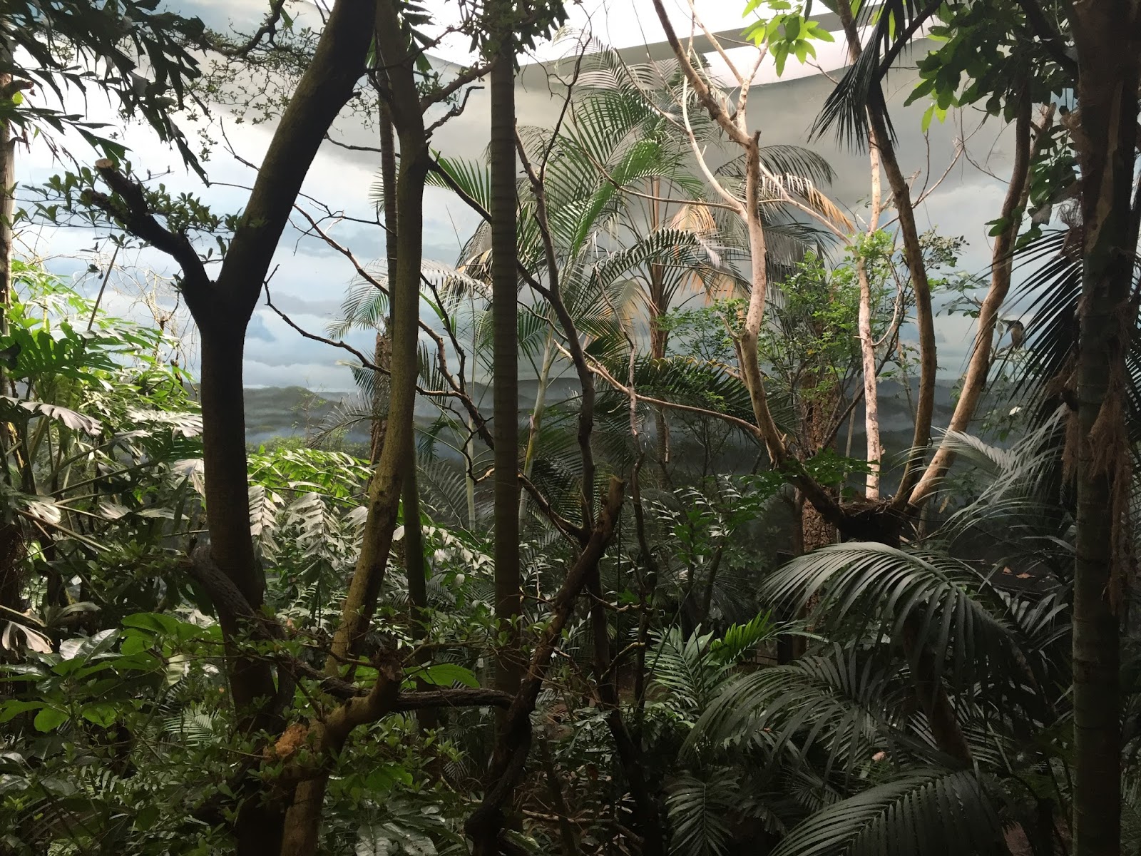 Earth on the Wing: Exploring the World of Birds at the Bronx Zoo