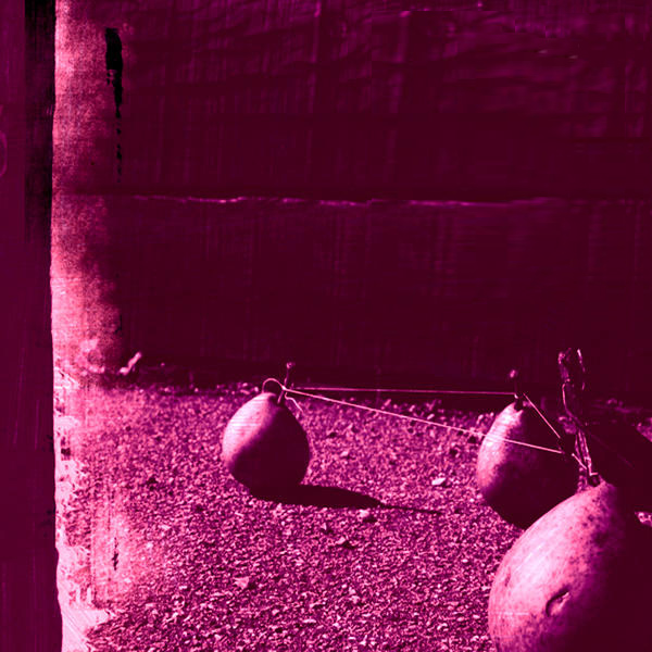 Holger Czukay / Les Vampyrettes - The Photo Song / Biomutanten Holger Czukay / Les Vampyrettes - The Photo Song / Biomutanten