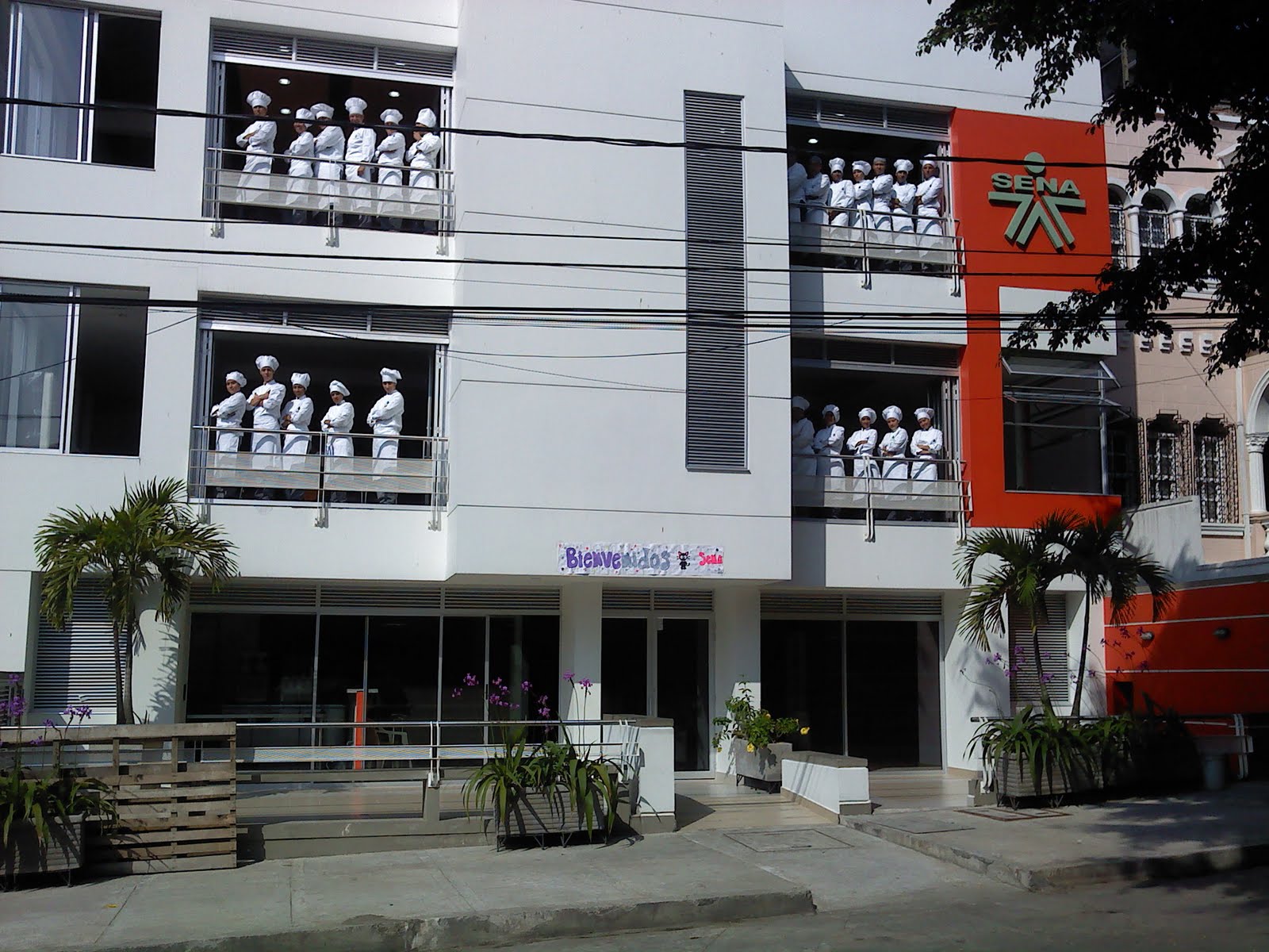 COCINA ANCESTRAL: agosto 2011