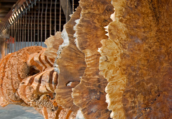 The First of Many...: Defamiliarizing in the Contemporary Art World