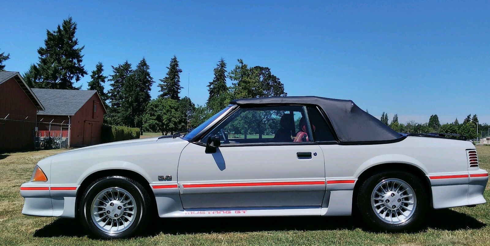 1989 Mustang Cobra Gt