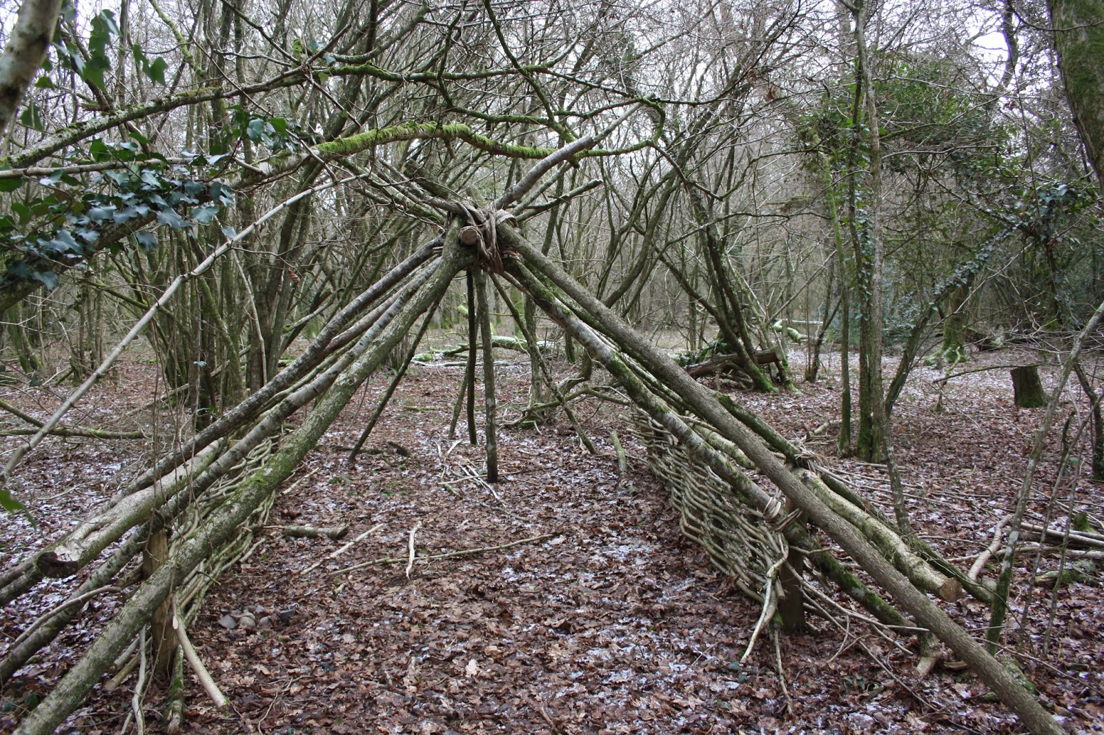 Wilderness Survival Skills - Joe O'Leary: Building A Long Term Shelter ...