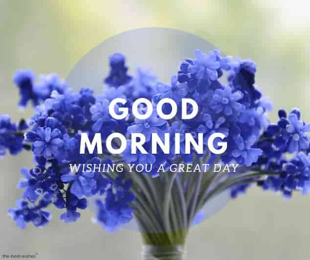 Blue flowers with good morning wishes