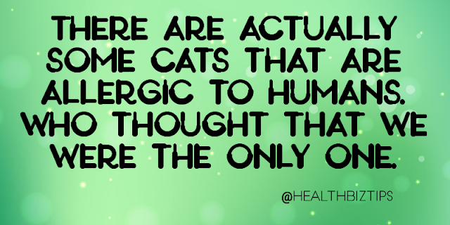 There are actually some cats that are allergic to humans. Who thought that we were the only one.