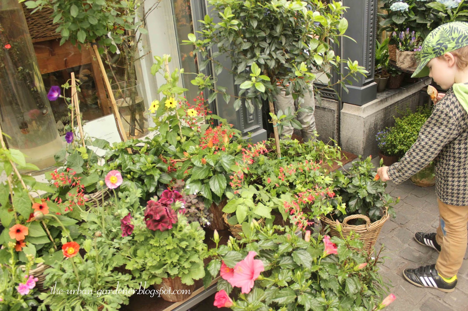 The Urban Gardener Travel More floral artistry in Zurich