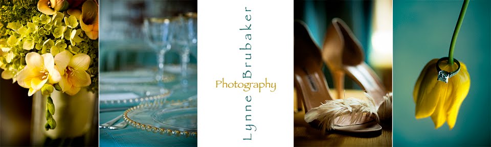 Lynne Brubaker Photography, Inc