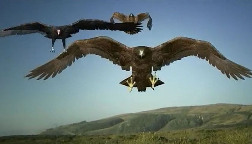 Michael S Mixed Media Playroom Self Published Movies 3 Birdemic Shock And Terror