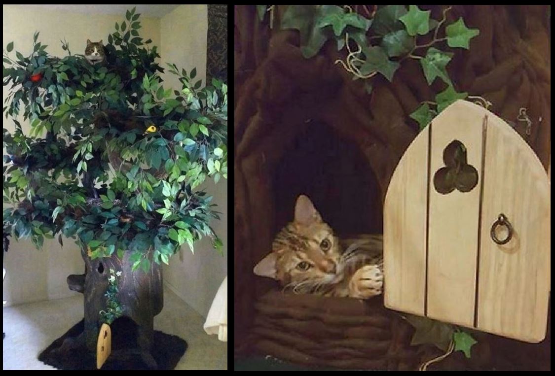 Luxury Cat Trees For Spoiled Rotten Kitties Designer Cat Furniture