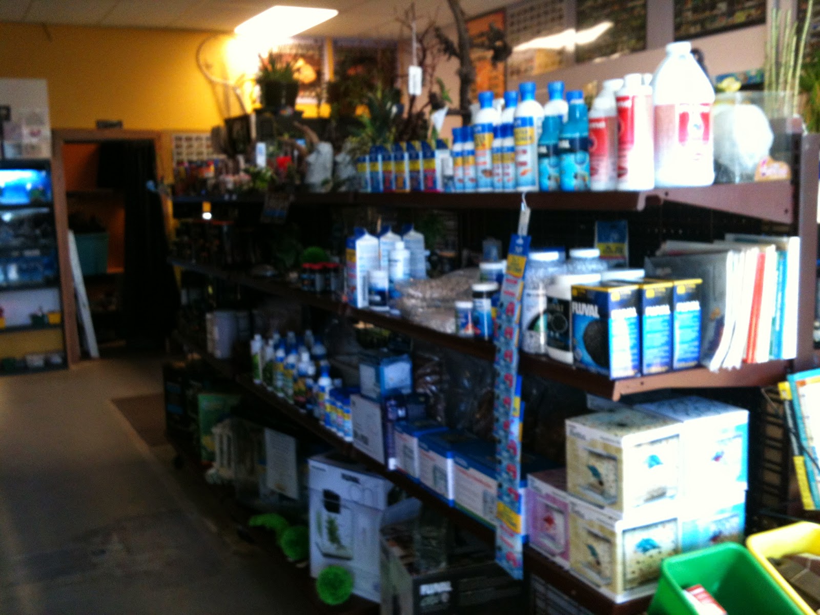 Finatics Tropical Fish Views of the New Shop