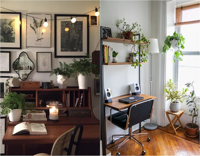 Decorações de home office usando plantas