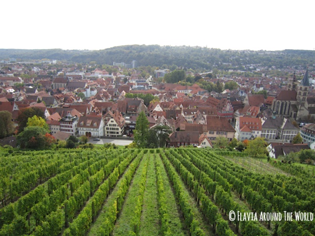 Vistas desde el castillo Vistas desde el castillo de Esslingen