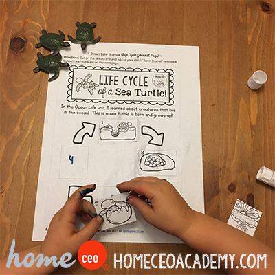 https://www.teacherspayteachers.com/Product/Ocean-Life-Week-13-Age-4-Preschool-Homeschool-Curriculum-by-Home-CEO-2475608