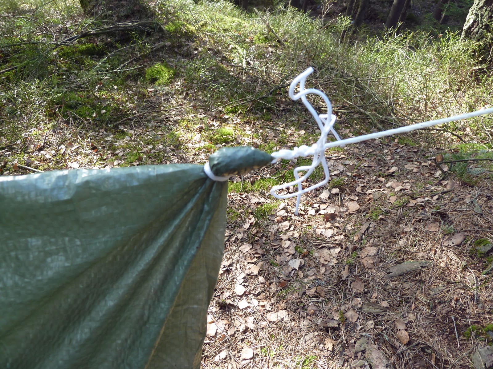Cesar and The Woods: My Favorite DIY/MYOG Camping Shelter