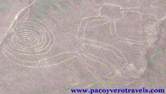 Sobrevolar las figuras y lineas de Nazca en Perú