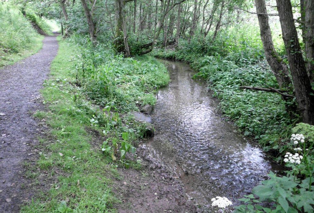 My Daily Walk Jubilee Walk, Auchterarder