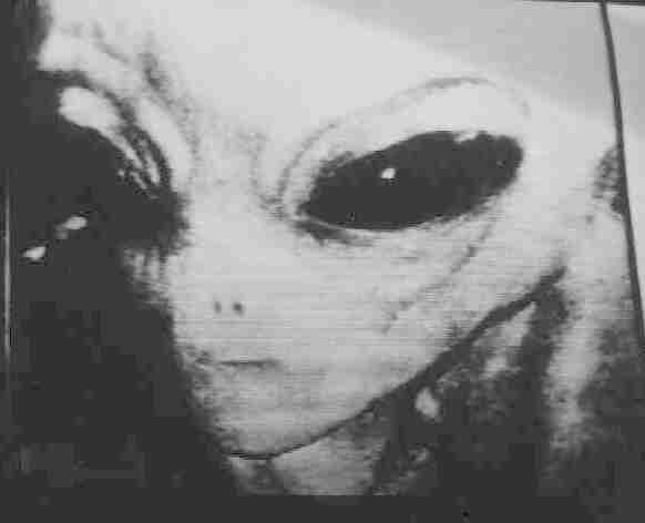 What Evidence Exists To Support Natural Selection What Evidence Exists To Support Natural Selection
