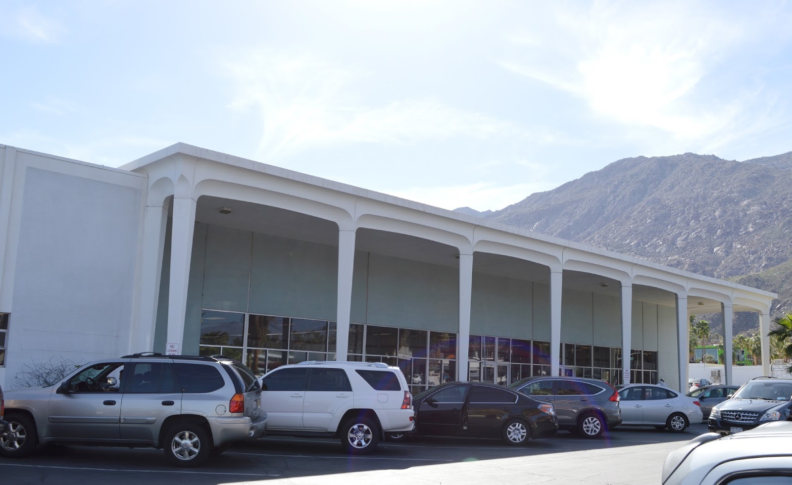 Susan's Palm Springs Modern Part 2