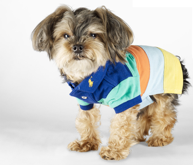 OFFmag: Ralph Lauren Dog Polo Shirt