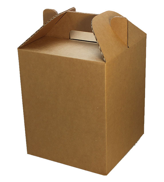 Best Custom Design Packaging Boxes Offer custom handle boxes packaging