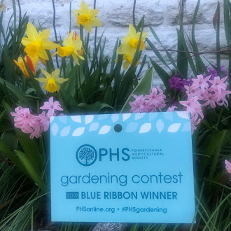 My Award-Winning Garden