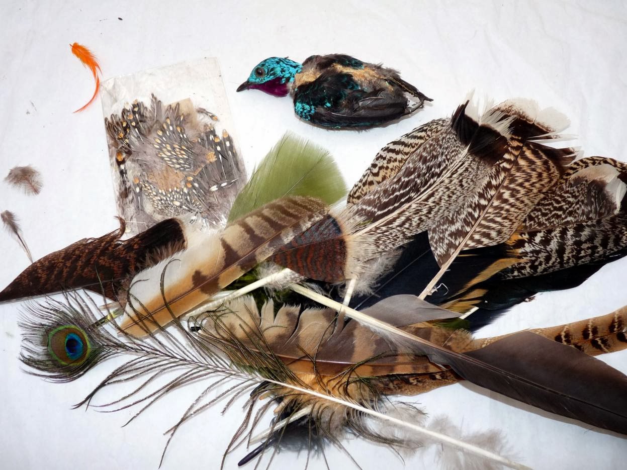 Fly Fishing Chronicles Feathers, Feathers and Feathers