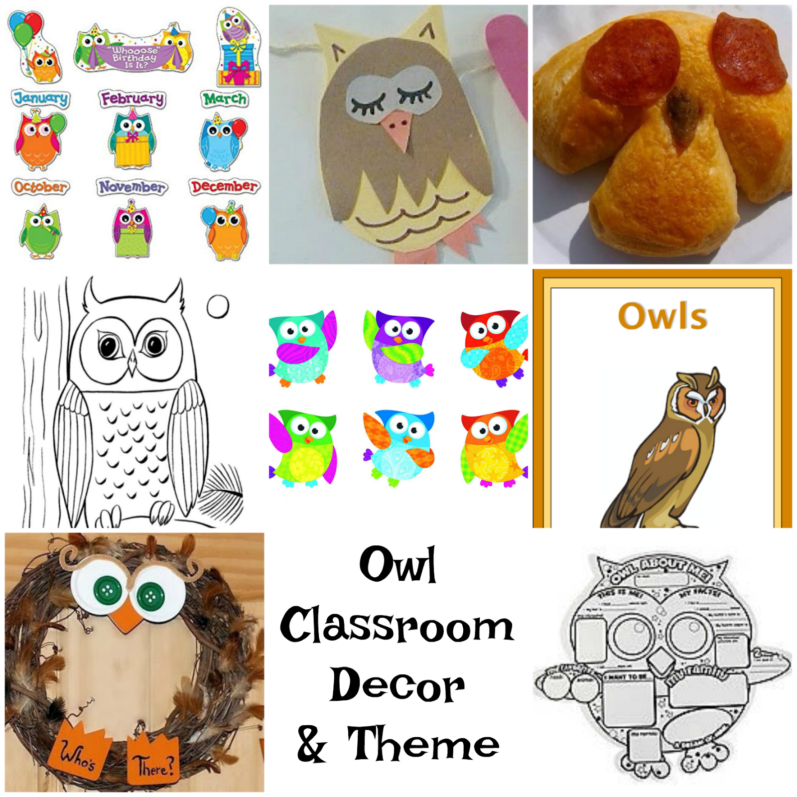 9 Owl Back To School Decorations Thematic Unit Adventures Of
