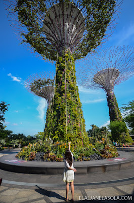Singapore | Gardens by the Bay