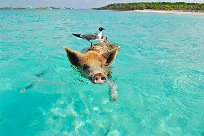 from the air & waiting to fish