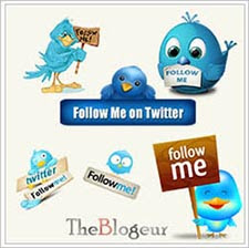 Twitter Follow Me Button