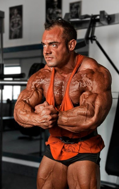 Mx197 ��������: ����.