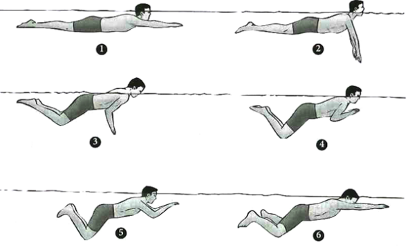 Https Encrypted Tbn0 Gstatic Com Images Q Tbn 3aand9gcqiymctun Bw 5aebxsdgvgyjp 1dtc 5k9cq Usqp Cau