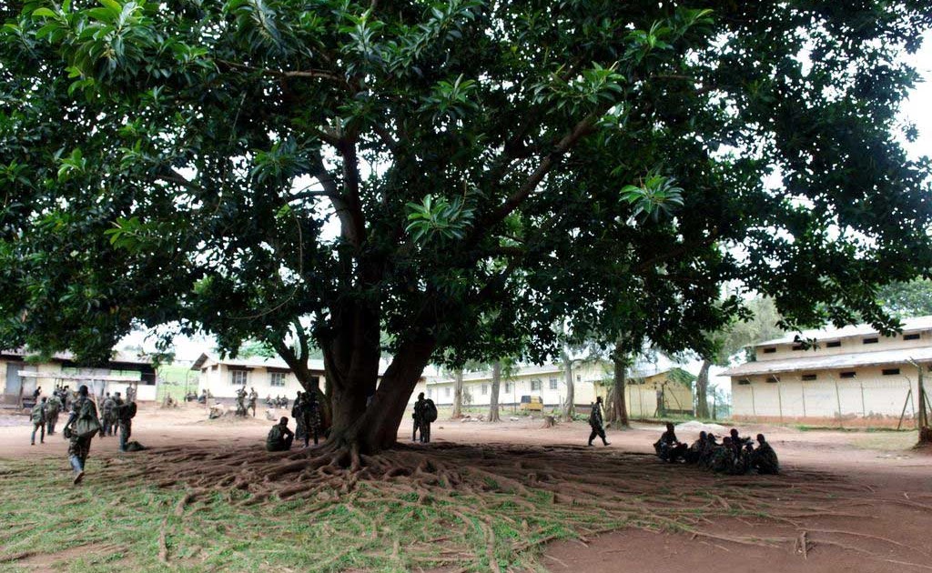 Si on peut maigrir sur les bananes les rappels