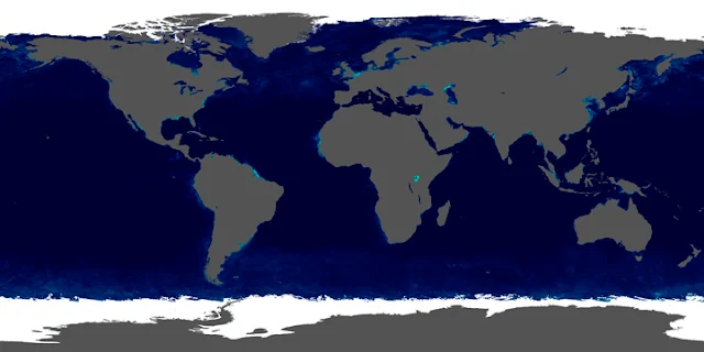 Imagem com colorização baseada em dados da NASA