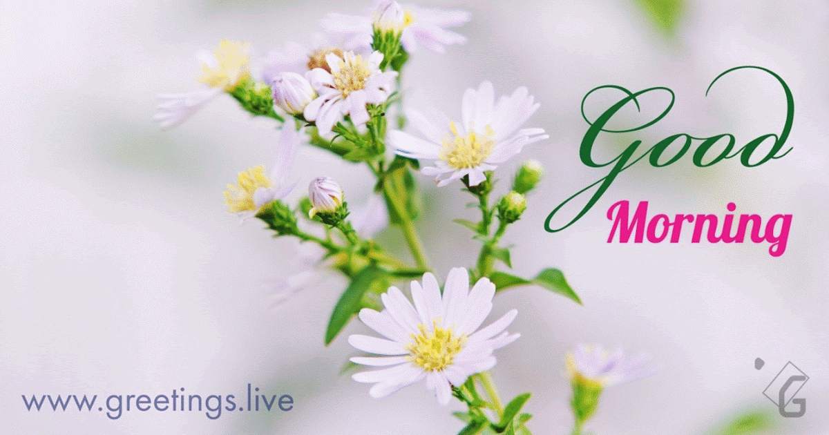 Greetings.Live*Free Daily Greetings Pictures Festival GIF Images: Fresh