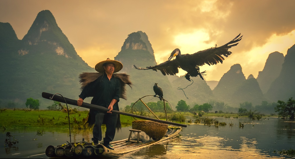 Китай рыбалка с бакланами Китай рыбалка с бакланами