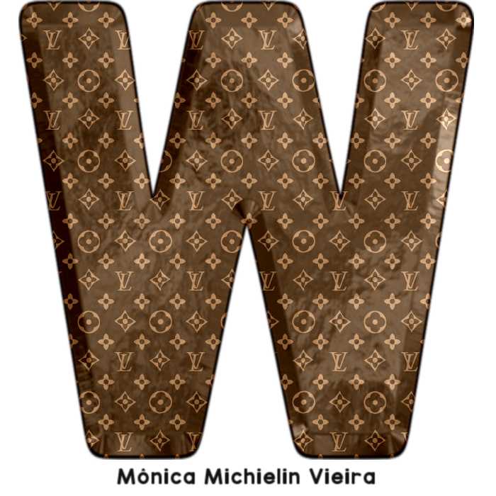 Louis Vuitton Purse Big Letters