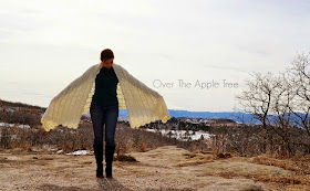 Crochet Shawl >> Over The Apple Tree