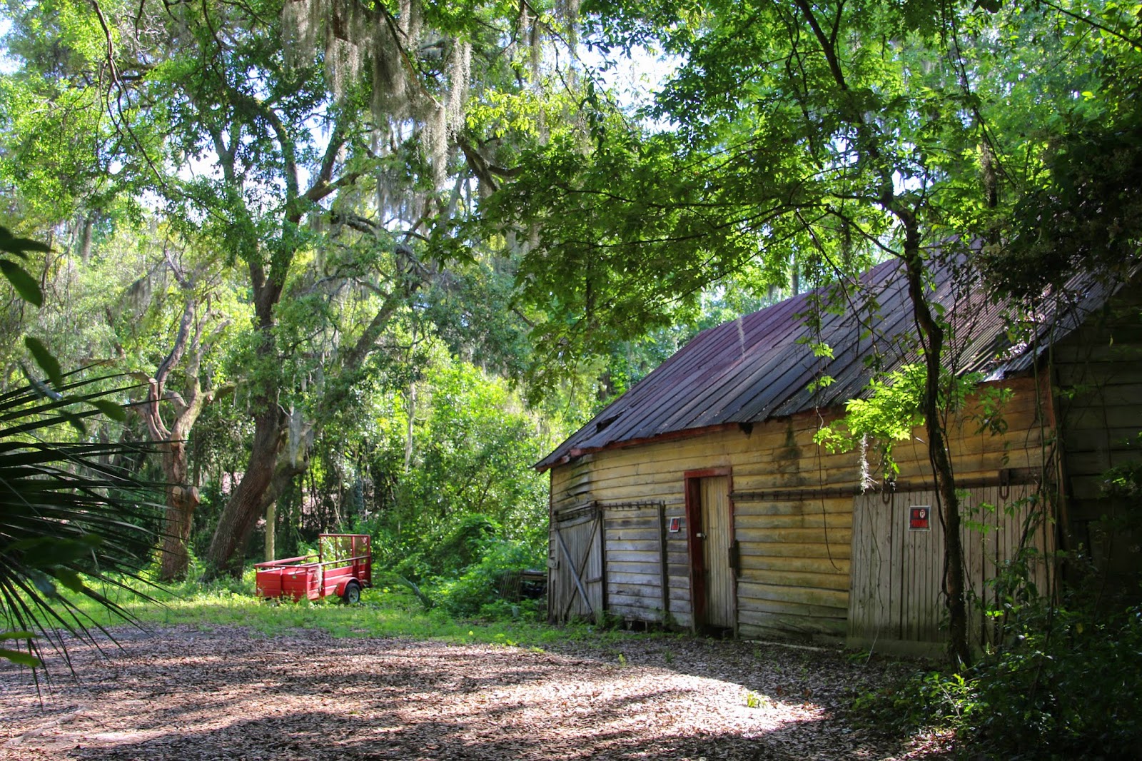 Charleston Daily Photo Rustic barn in Bluffton