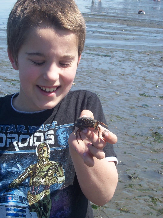 Homeschool Distractions: Tolmie State Park
