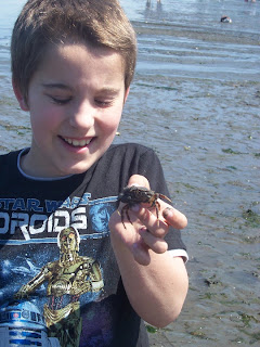 Homeschool Distractions: Tolmie State Park
