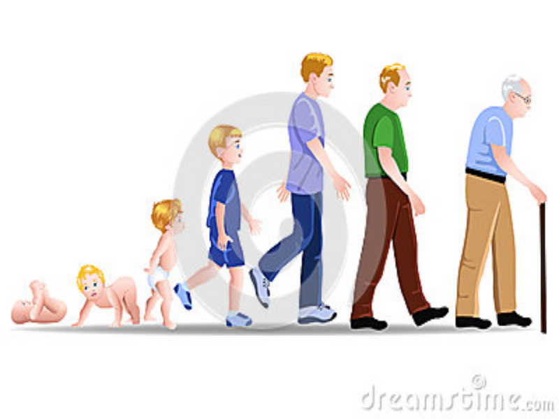 Imagenes De Desarrollo Humano | desarrollo humano Imagenes De Desarrollo Humano | desarrollo humano