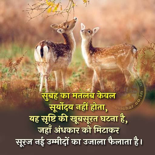 सुप्रभात सुविचार हिंदी